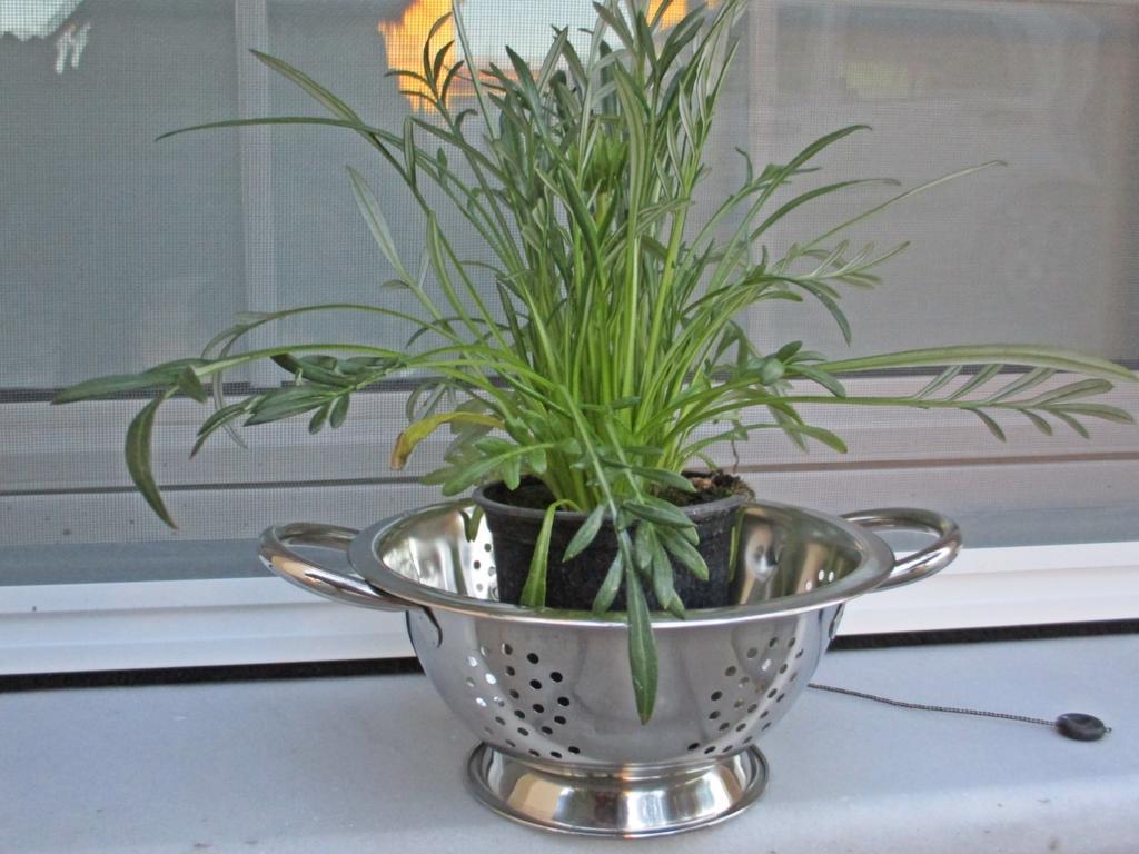 Alkiones Apartment Плати Екстериор снимка
